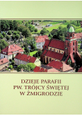 Dzieje parafii Pw trójcy świętej w Żmigrodzie