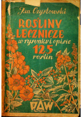 Rośliny lecznicze w rysunku