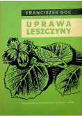 Uprawa leszczyny