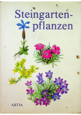 Steingarten - pflanzen