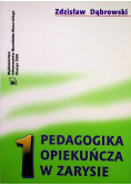 Pedagogika opiekuńcza w zarysie Tom I