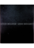 Liquid modernity