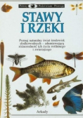 Stawy i rzeki