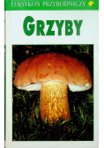 Grzyby