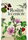 Rośliny lecznicze