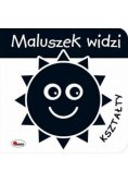 Maluszek widzi Kształty