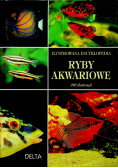 Ryby Akwariowe