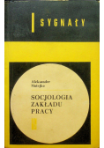 Socjologia zakładu pracy