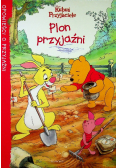 Plon przyjaźni