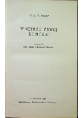 Wnętrze żywej komórki