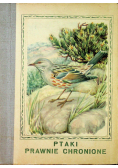 Ptaki Prawnie Chronione