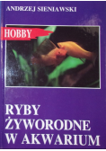 Ryby żyworodne w akwarium