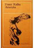 Ameryka
