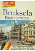 Przewodnik Bruksela