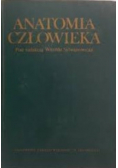 Anatomia człowieka