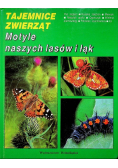 Tajemnice zwierząt Motyle naszych lasów i łąk