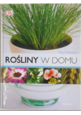 Rośliny w domu