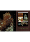 Przewodnik mineralogiczny
