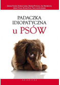 Padaczka idiopatyczna u psów