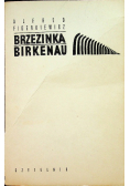 Brzezinka birkenau