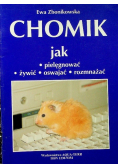 Chomik jak pielęgnować żywić