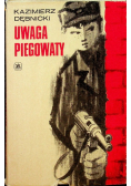 Uwaga piegowaty
