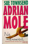 Adrian Mole Na manowcach