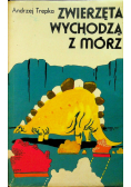 Zwierzęta wychodzą z mórz