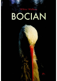 Bocian