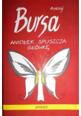 Aniołek spuszcza główkę