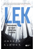 Lęk. Neuronauka na tropie źródeł lęku i strachu