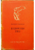 Kłębowisko żmij
