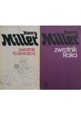 Zwrotnik koziorożca/Zwrotnik raka