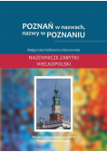 Poznań w nazwach, nazwy w Poznaniu