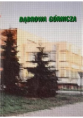 Dąbrowa Górnicza