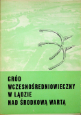 Gród Wczesnośredniowieczny w Lądzie nad Środkową Wartą