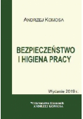 Bezpieczeństwo i higiena pracy