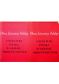Obraz literatury Polskiej Literatura Polska w okresie międzywojennym tom III i IV
