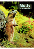 Motty la marmotte