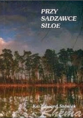 Przy sadzawce Siloe