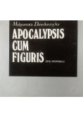Apocalypsis Cum Figuris Opis Spektaklu