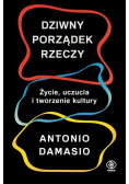 Dziwny porządek rzeczy