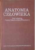 Anatomia człowieka