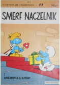 Smerf naczelnik