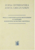 Praca z indywidualnym przypadkiem w nadzorze rodzinnego kuratora sądowego