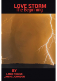 Love Storm