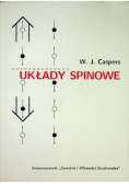 Układy spinowe