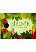 Zielnik  Drzewa i krzewy liściaste