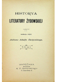 Historya literatury żydowskiej 1903 r.