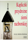 Kapliczki i figury przydrożne